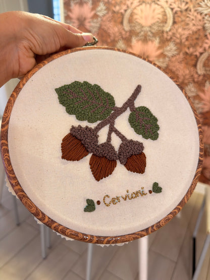 Cadre Cervioni – A Nuciola